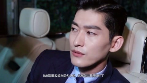 兔子镇的火狐狸