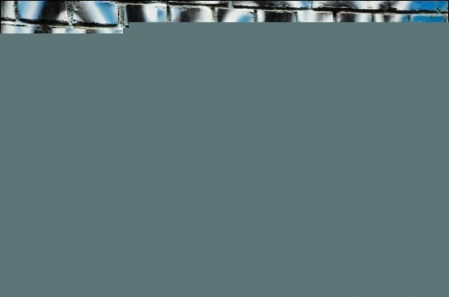 养蜂人(普通话版)