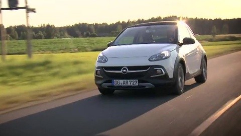 八侍卫之王者天下