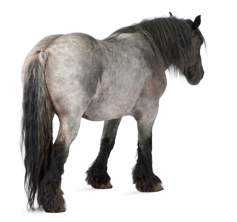 关中诡事之雾隐藏棺