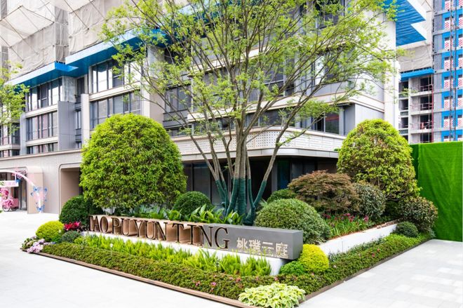 全境封锁：特工起源