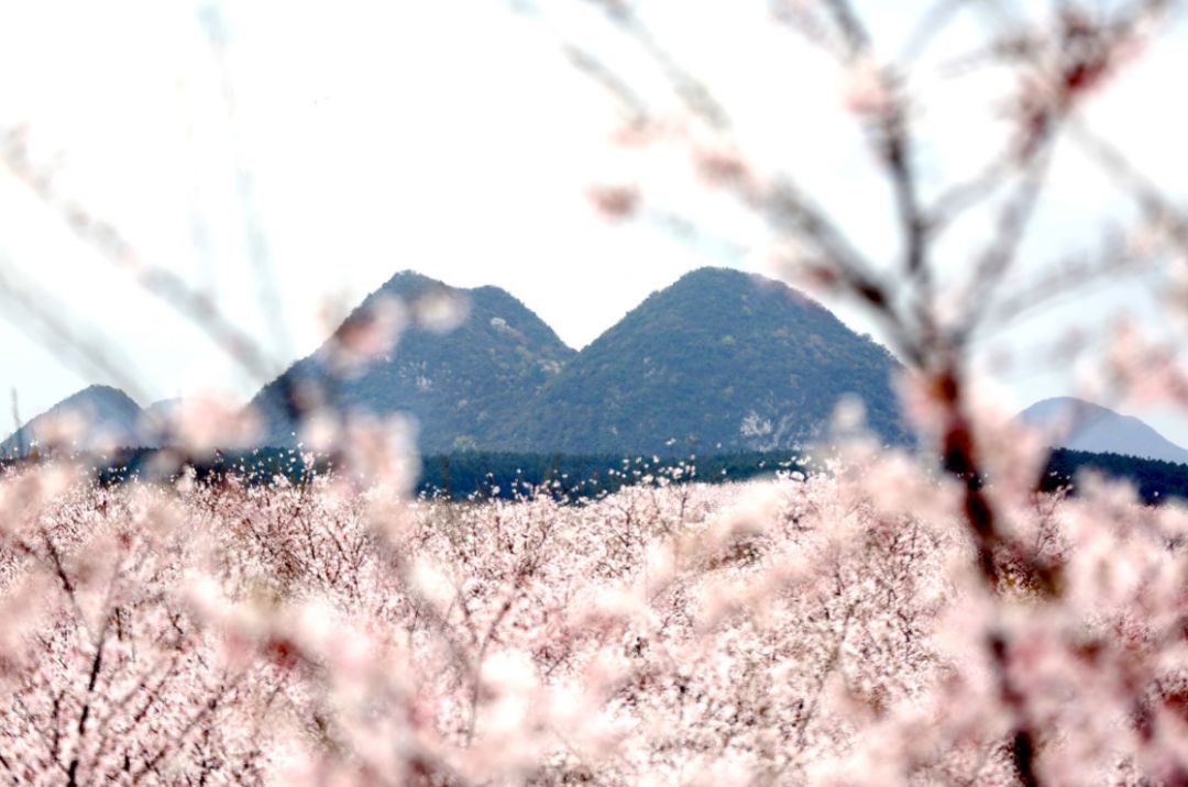 再见美人鱼(下部)