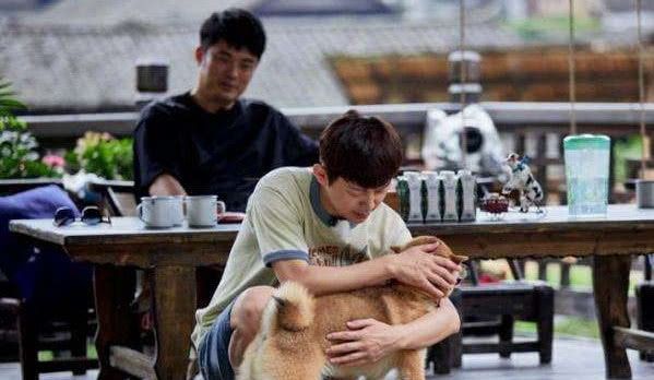 全个世界都有电话