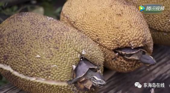 关于人民，关于战争