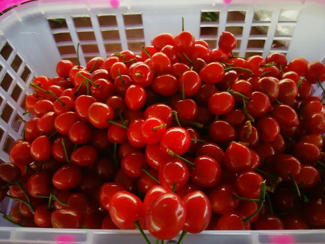 八星报喜1988 粤语版