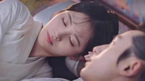 兔子镇的火狐狸